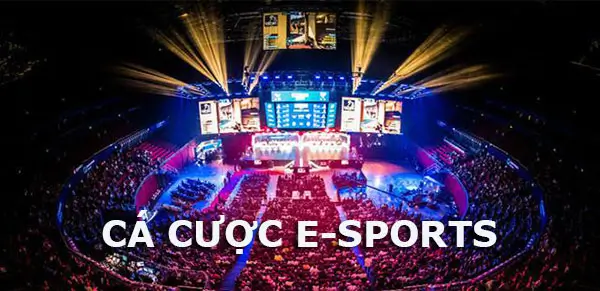 Cá cược Esport tại i9bet 