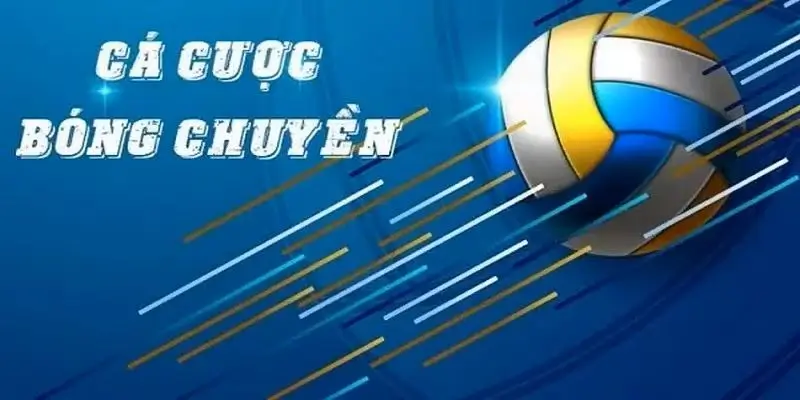 Tìm hiểu về cá cược bóng chuyền tại i9bet